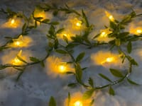 ✨ 𝐒𝐭𝐚𝐫 𝐅𝐚𝐢𝐫𝐲 𝗟𝗲𝗮𝗳 𝐋𝐢𝐠𝐡𝐭 🍃_img_1