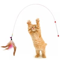 Funny Cat Stick Interactive Cats Toys Kitten Toy Sticks Rod with Metal Bells Feather and Long Wire Kitty Pet Training Products_img_1