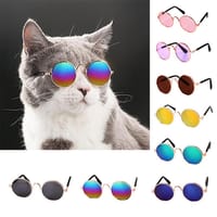 Cat Sunglass Toy - Multicolour_img_0