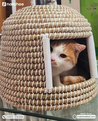 kaisa Grass Cat House_img_4