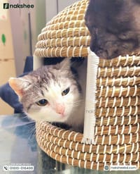 kaisa Grass Cat House_img_5