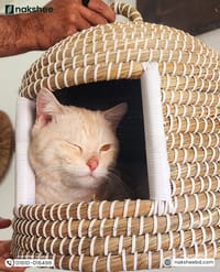 kaisa Grass Cat House_img_8