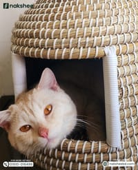 kaisa Grass Cat House_img_9