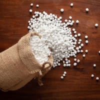 সাবু দানা (Sagu)_img_2