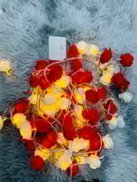 গোলাপ লাইট ২৫ফিট ৮০পিস মাল্টি_img_5