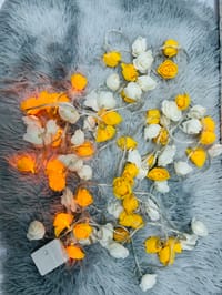 গোলাপ লাইট ২৫ফিট ৮০পিস মাল্টি_img_6