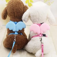 Pet Small Cat Belt Harness Nylon Leash Beautiful Angel Wing Dog-Harness-Leash-Belt-Pet_img_2