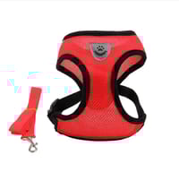 (S Size) Cat Pet Kitten Cats/Small Dog Puppy Jacket Harness & Leash Breathable Reflective_img_2