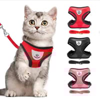 (M Size) Cat Pet Kitten Cats/Small Dog Puppy Jacket Harness & Leash Breathable Reflective_img_0