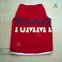 cat t-shirt (4 kg)_img_0