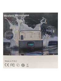 SX-21 wireless dual mobile microphone_img_1