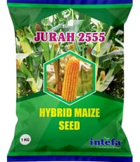 যুরাহ ২৫৫৫ হাইব্রিড ভূট্টা বীজ । Jurah 2555 Hybrid Corn  / Maize Seed_img_0