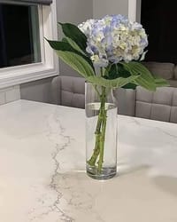 Transparent glass vase_img_1