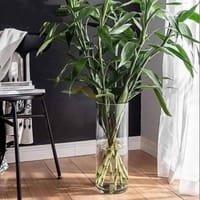 Transparent glass vase_img_4