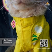 Cat panjabi(3,3.5,4,5,7,8,10 kg)_img_3