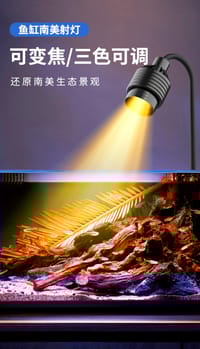 Boca Ra South American Spotlight-4.2W(3Moods)⚪🟡🟠_img_1