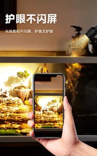 Boca Ra South American Spotlight-4.2W(3Moods)⚪🟡🟠_img_7