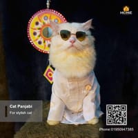 Cat panjabi (6,5,3.5,3 kg)_img_1