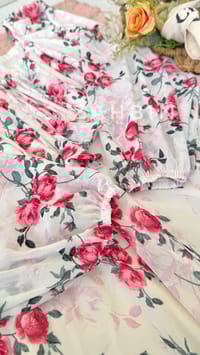 Raspberry Rose🥀_img_5