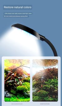 RGB Clamp Light - 5W.(3Moods🔴🟢🔵)_img_1