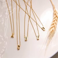 Initial Pendant_img_1