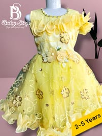 Elegant Baby Girl Party Dress._img_0