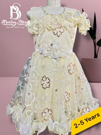 Elegant Baby Girl Party Dress._img_2