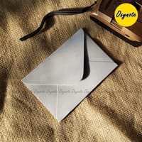 Oxynote Monarch Series Premium Vibrant Color Envelope Set_img_11