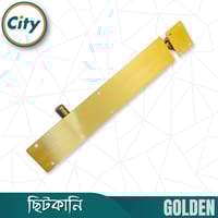 ৮ ইঞ্চি ছিটকানি এস এস বোল্ট আর অ্যালুমিনিয়াম বডি স্কোয়ার বিট শেপ ছিটকানি বিভিন্ন রঙের_img_14