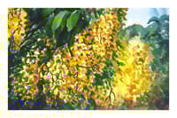 Golden Cascade_img_0