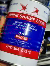 Red Jungle Brine Shrimp Eggs - 20gm_img_1