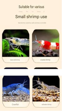 Shrimp Food - 85gm🦐_img_1