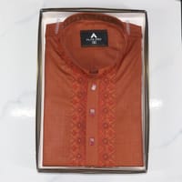 Casual Embroidered Classic - Punjabi_img_0