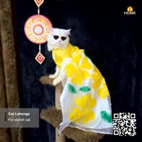cat gown_img_1