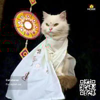 Gangubai sharee_img_0