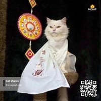 Gangubai sharee_img_5