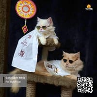 Gangubai sharee_img_4