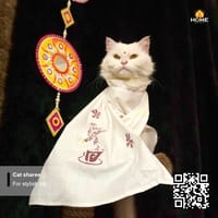 Gangubai sharee_img_6