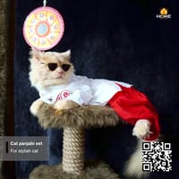 Cat panjabi set_img_1