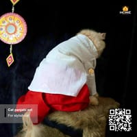 Cat panjabi set_img_2