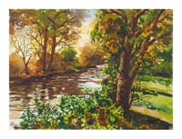 Tranquil Riverside_img_0