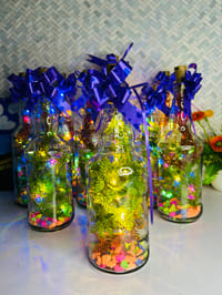 বোতল কর্ট লাইট সেটাপ ১লিটার_img_2