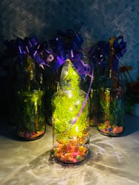 বোতল কর্ট লাইট সেটাপ ১লিটার_img_0