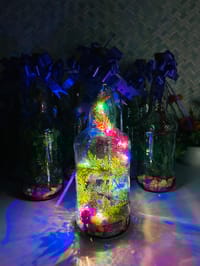 বোতল কর্ট লাইট সেটাপ ১লিটার_img_3