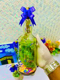 বোতল কর্ট লাইট সেটাপ ১লিটার_img_4