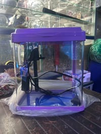 চায়না একুরিয়াম  ( ফিল্টার+লাইট)_img_4