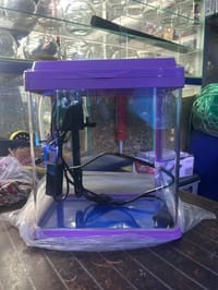 চায়না একুরিয়াম  ( ফিল্টার+লাইট)_img_5