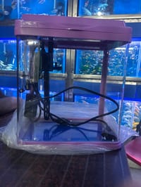 চায়না একুরিয়াম  ( ফিল্টার+লাইট)_img_6