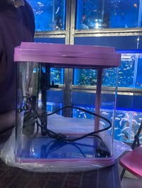 চায়না একুরিয়াম  ( ফিল্টার+লাইট)_img_7