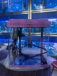 চায়না একুরিয়াম  ( ফিল্টার+লাইট)_img_8